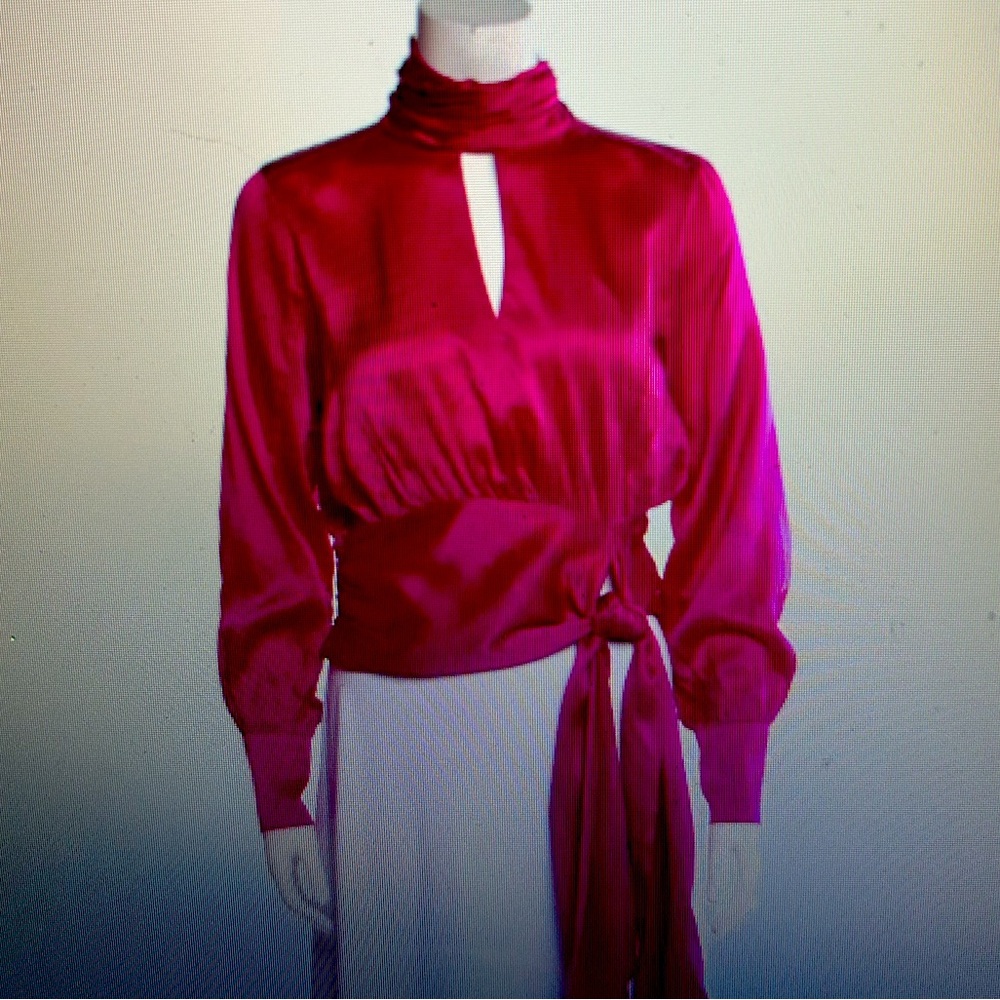 Silk Turtleneck High Neck Long Sleeve Blouse